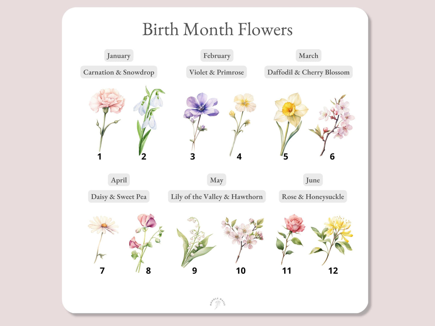 60th Birthday Gifts for Women | Personalised Birth Flower Print | Watercolour Illustration | A4, A5, Digital PDF