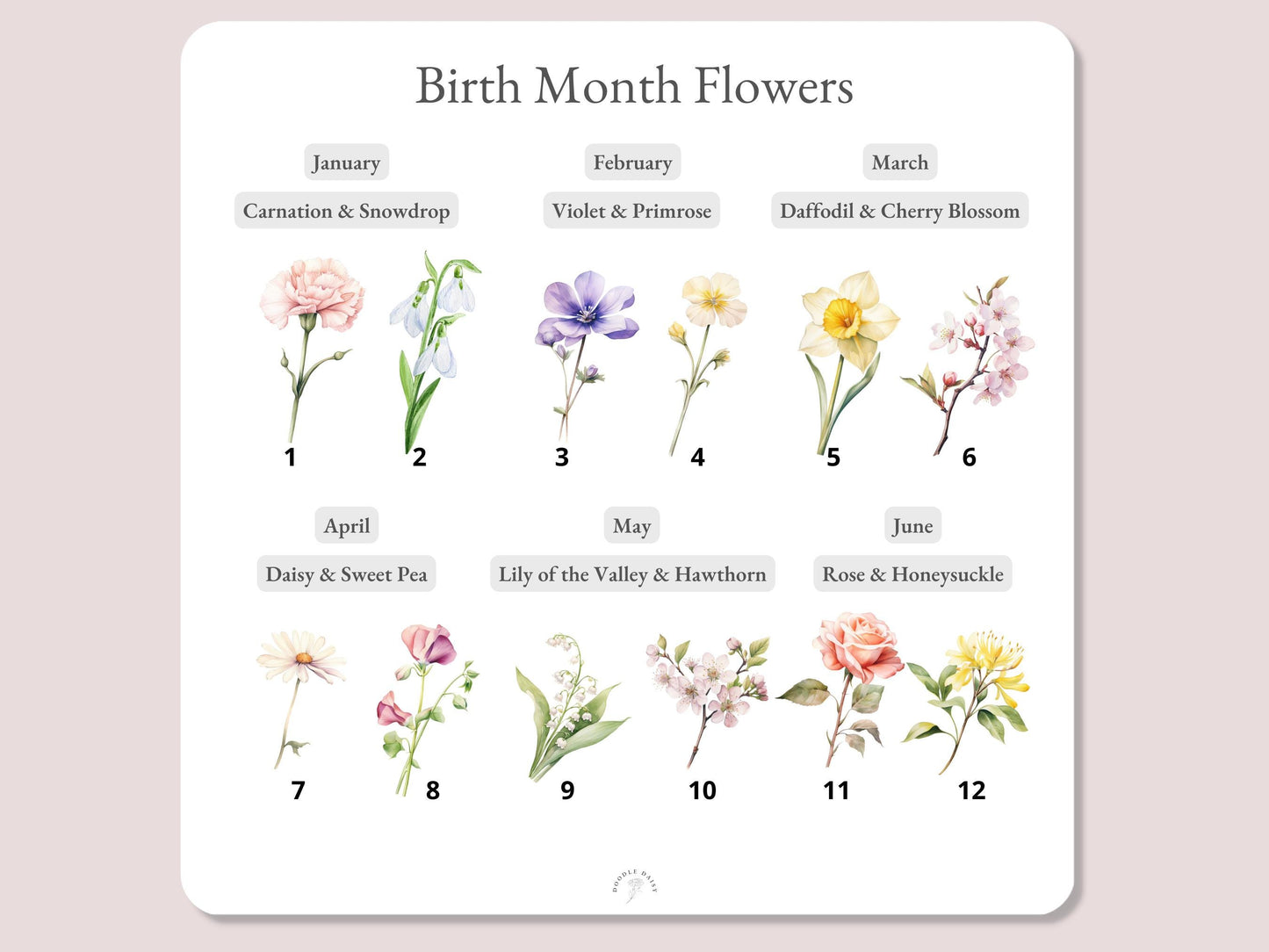 4th Wedding Anniversary Gifts | Personalised Birth Flower Wall Art Print | A4, A5, Digital PDF
